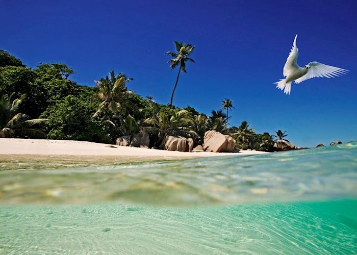 Сейшелы: пляжный отдых